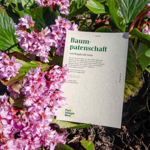 Baumpatenschaft